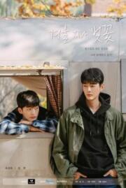 ดูหนังออนไลน์ฟรี CHERRY BLOSSOMS AFTER WINTER 2022