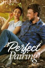 ดูหนังออนไลน์ฟรี คู่นี้คือเพอร์เฟค  A Perfect Pairing 2022