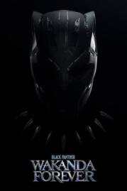 ดูหนังออนไลน์ฟรี แบล็ค แพนเธอร์วาคานด้าจงเจริญ 2022 Black Panther Wakanda Forever 2022