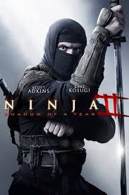 ดูหนังออนไลน์ฟรี Ninja Shadow of a Tear นินจา 2 น้ำตาเพชฌฆาต (2013)